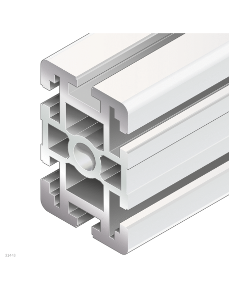 ✅ 3842990481 | PERFIL SOPORTE 60X90 F1/F1V | Bosch Rexroth
