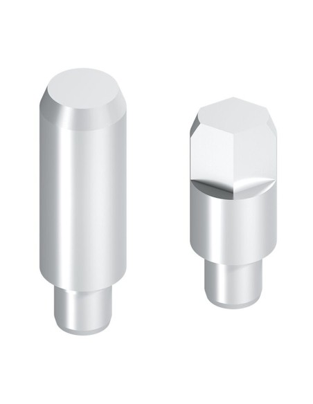 ✅ 3842242390 | PITON DE CENTRAJE D12X39 | Bosch Rexroth