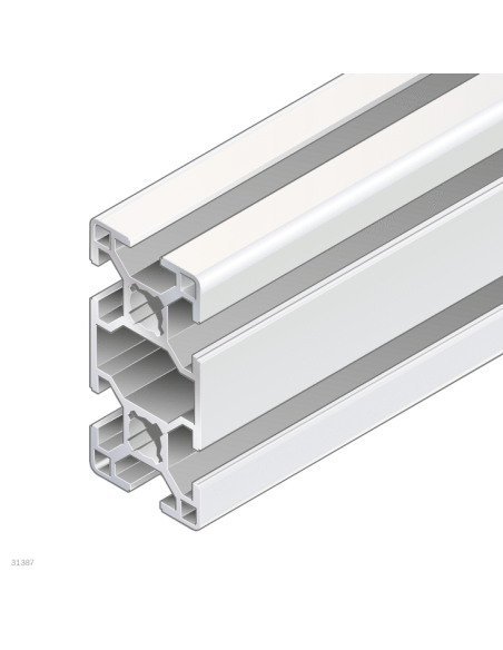 ✅ 3842992458 | PERFIL SOPORTE 30X60 M8/- | Bosch Rexroth