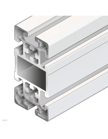 ✅ 3842993163 | PERFIL SOPORTE 50X100L | Bosch Rexroth