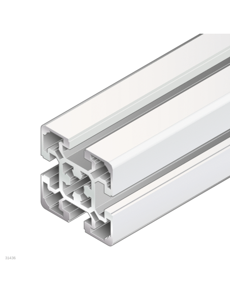 ✅ 3842993161 | PERFIL SOPORTE 50X50L D17/D17 | Bosch Rexroth