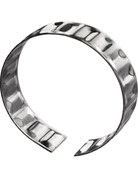 ✅ R081010003 | ANILLO DE TOLERANC AN100X25 | Bosch Rexroth