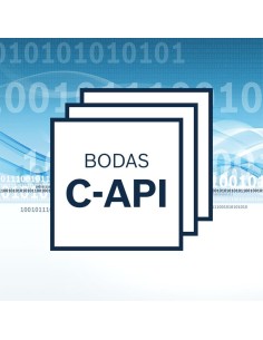  R902135564 BODAS C-API/40