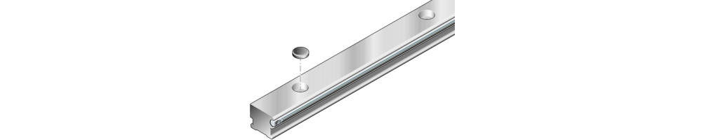 Cam roller guide rails