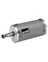 flexible diaphragm cylinders 