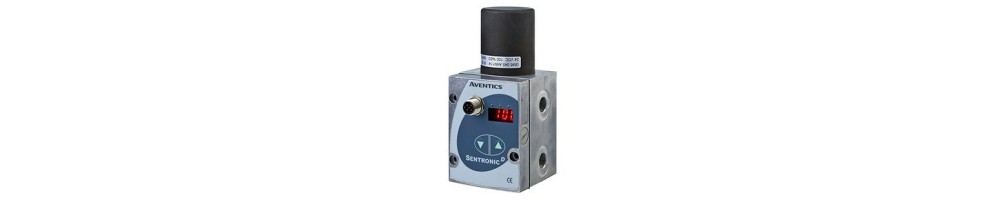 Proportional Valve - Sentronic D 608/609
